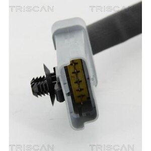 TRISCAN 8813 10202 AGR-Ventil