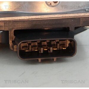 TRISCAN 8813 13200 AGR-Ventil