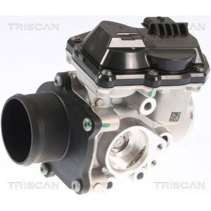 TRISCAN 8813 16002 AGR-Ventil