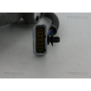 TRISCAN 8813 17019 AGR-Ventil