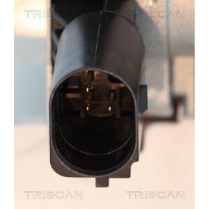 TRISCAN 8813 18046 AGR-Ventil