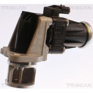 TRISCAN 8813 25040 AGR-Ventil