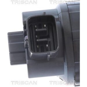 TRISCAN 8813 42001 AGR-Ventil