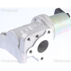 TRISCAN 8813 43015 AGR-Ventil