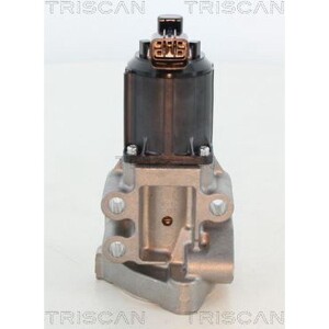 TRISCAN 8813 43025 AGR-Ventil