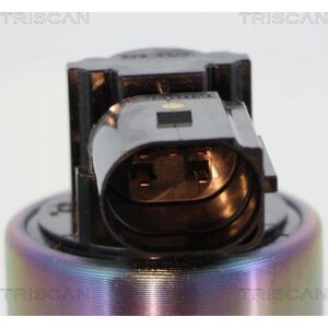 TRISCAN 8813 44009 AGR-Ventil