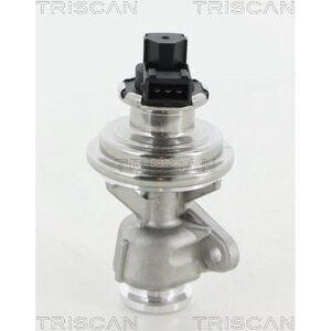 TRISCAN 8813 44010 AGR-Ventil