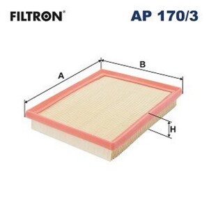 FILTRON AP 170/3 Luftfilter