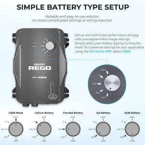 RENOGY REGO 100/60A 12V MPPT Solarladeregler mit Bluetooth