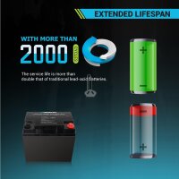 RENOGY 12V 50Ah 170Ah LiFePo4 Lithium Batterie Smart BMS Akku