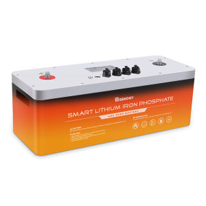 RENOGY 48V 50Ah LiFePo4 Lithium Batterie mit Selbstheizung
